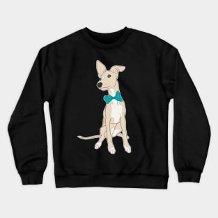 Cute fawn Italian Greyhound with bright teal bow Crewneck Sweatshirt